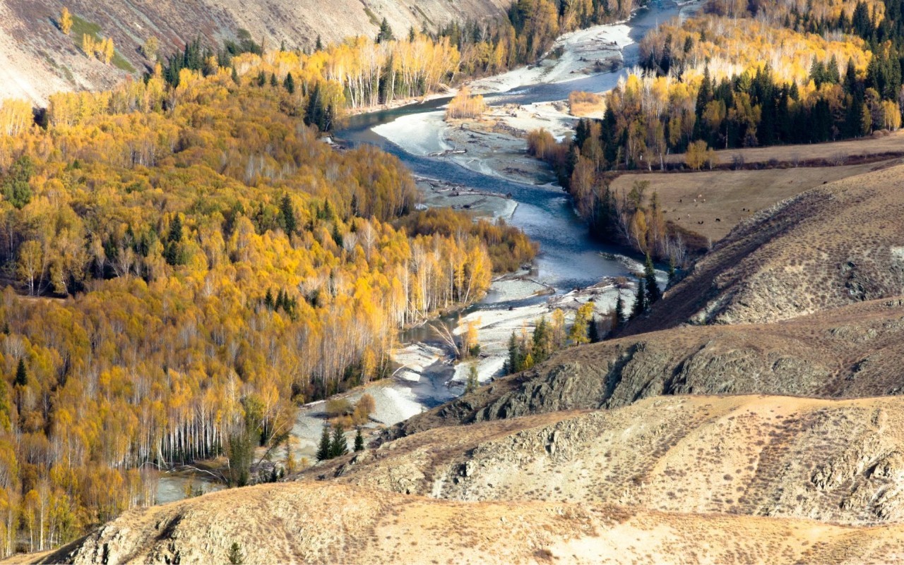新疆风情舞台秀，传统服饰演绎微笑故事