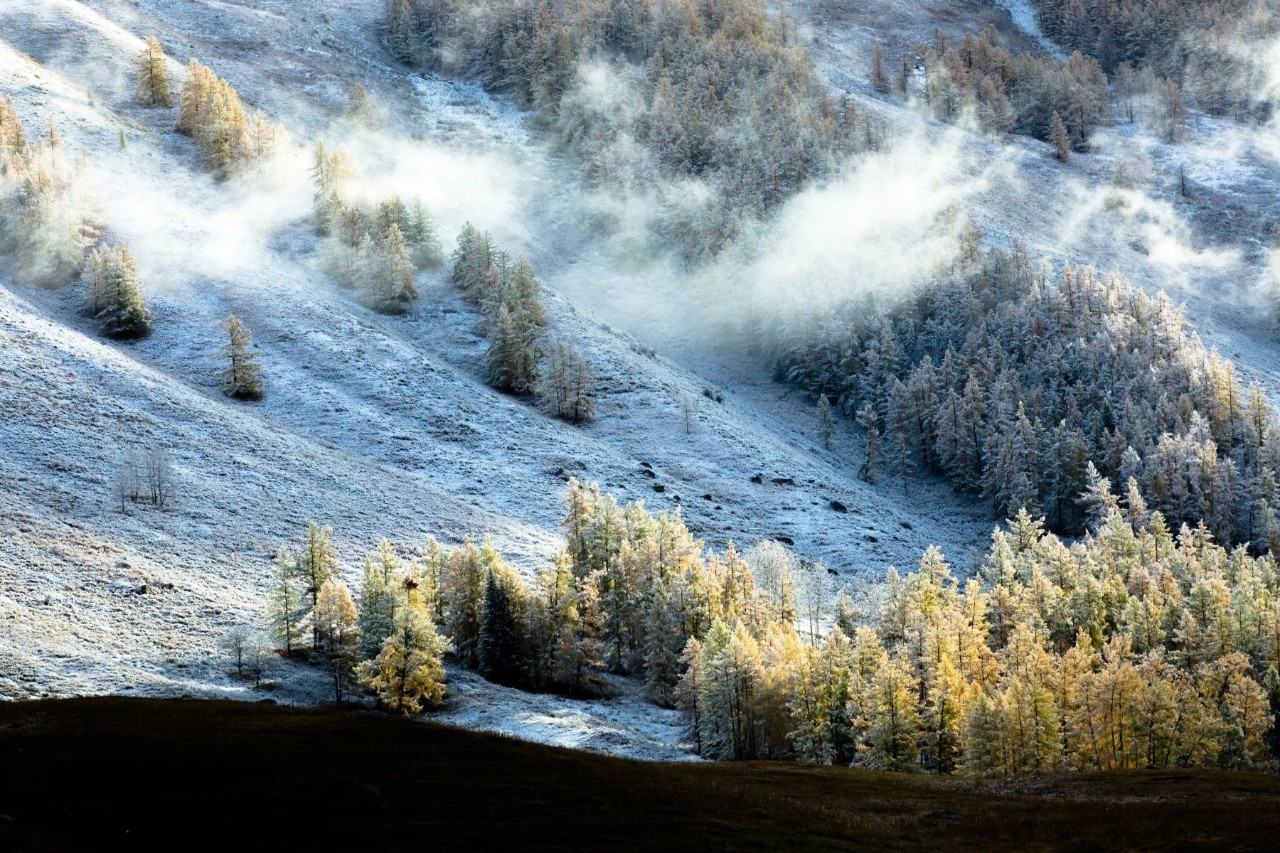 新疆风情舞台秀,传统服饰演绎微笑故事