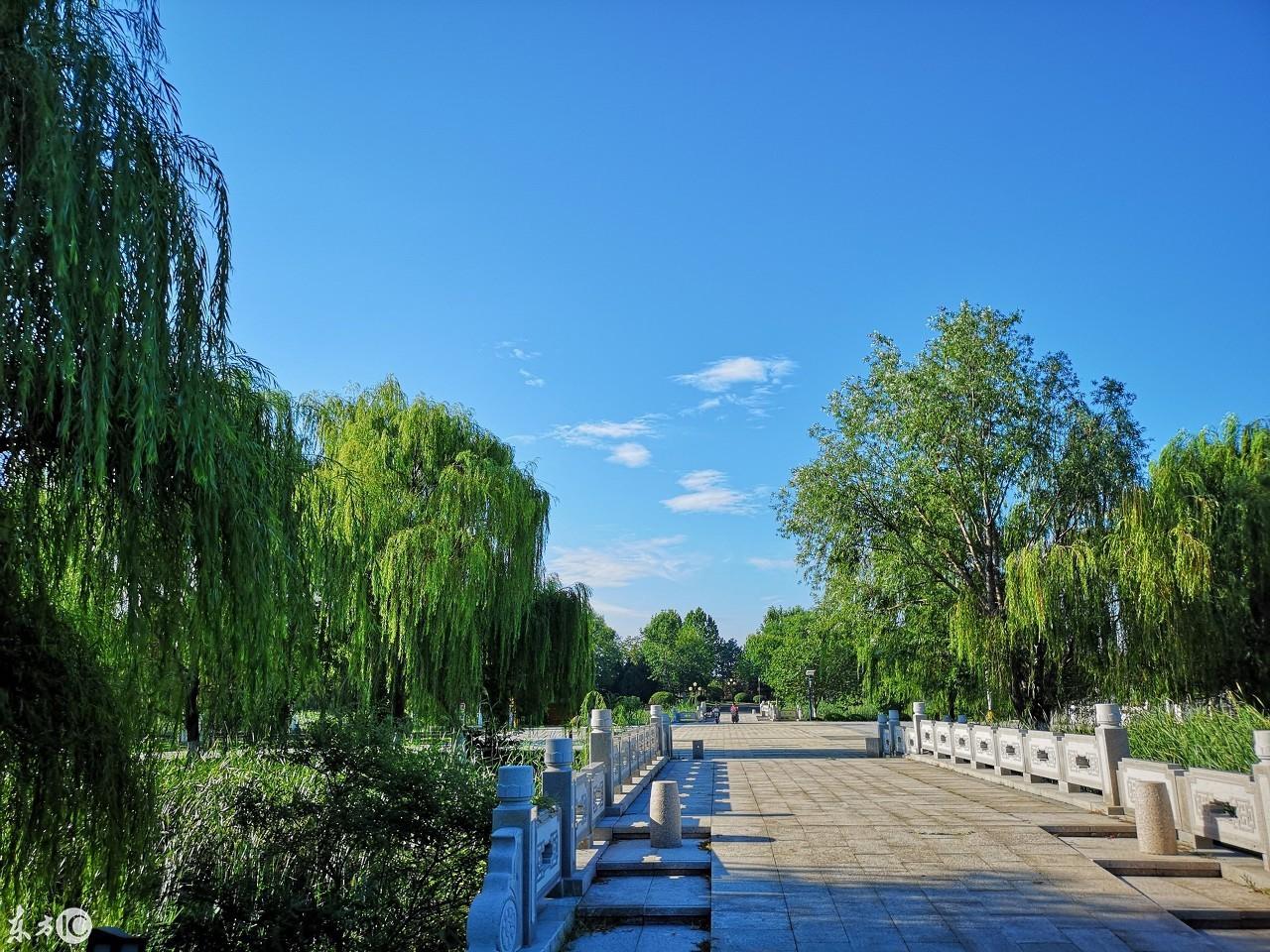 铁岭,全面解读与探索