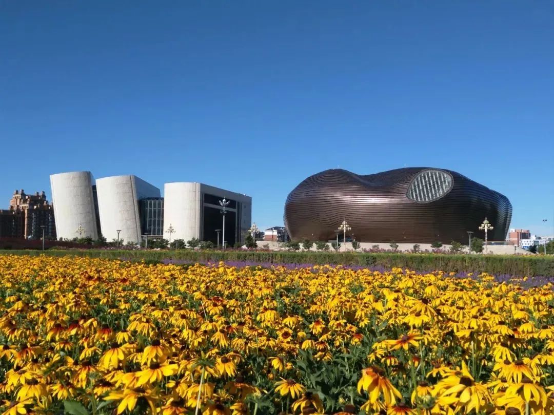 鄂尔多斯，千年变迁中的历史与文化画卷