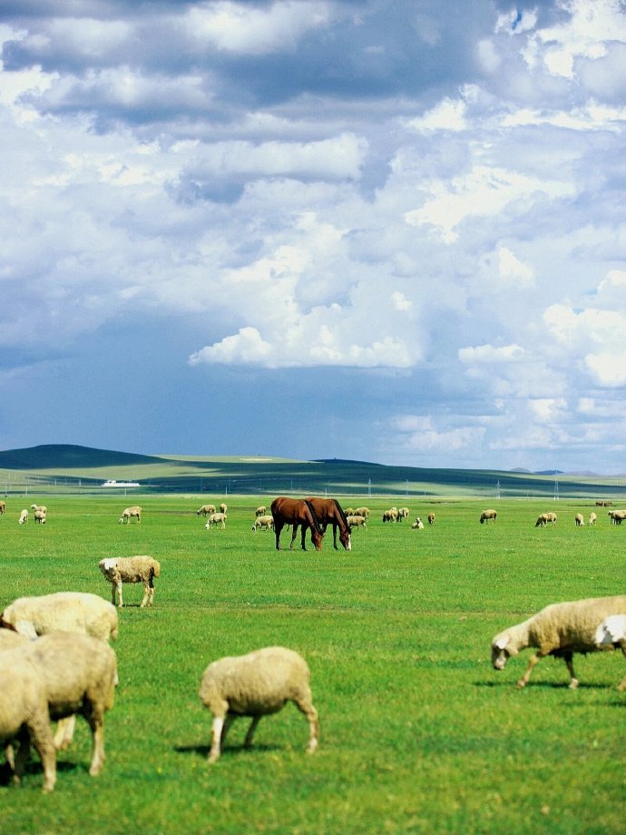 呼伦贝尔，自然呼唤与心灵净化的圣地之旅